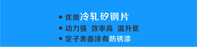 轉(zhuǎn)子選用優(yōu)質(zhì)冷軋硅鋼片，動力強(qiáng)、效率高、溫升低，表面涂有防銹漆更耐用